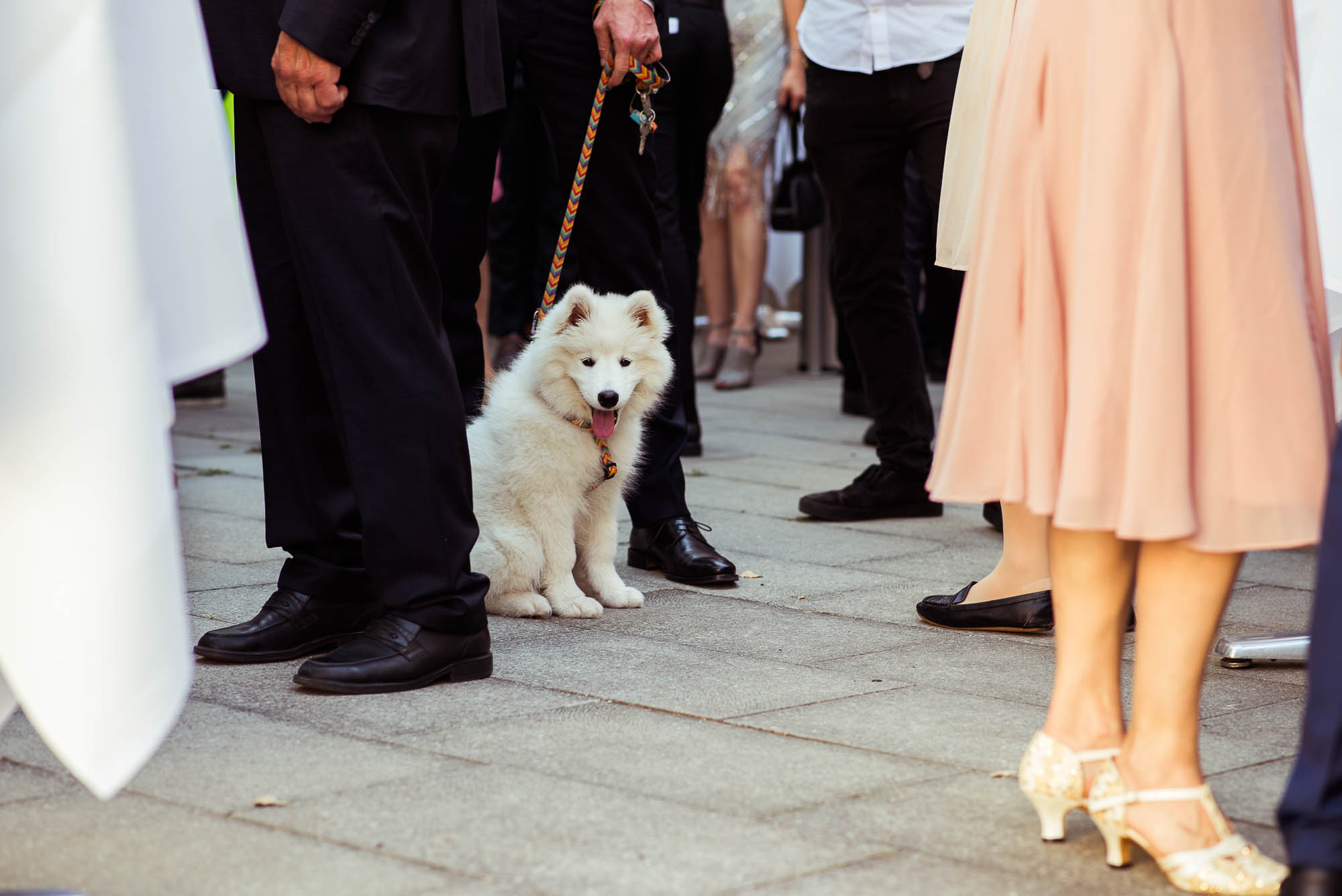 Export x3 NI1 1332 Hochzeit 2020 Kristin & Daniel